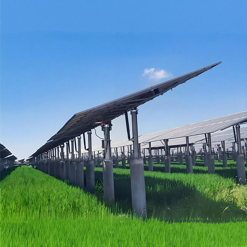 Supports de montage solaire au sol pour projets d'ingénierie – Haute résistance au vent, installation facile
