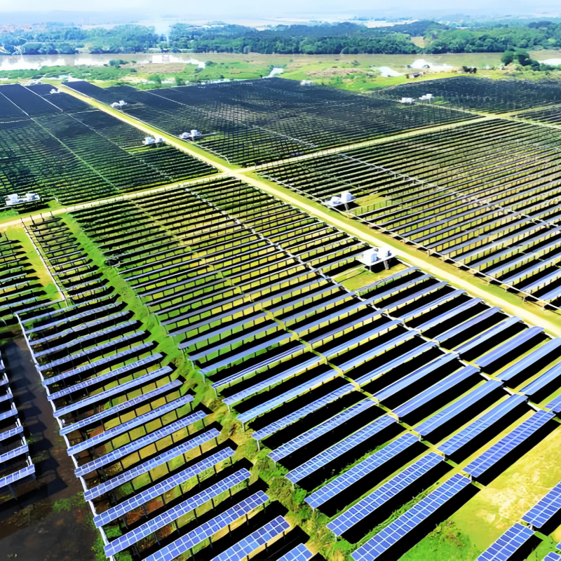 Châssis de support photovoltaïque résistant aux vents forts spécifiques au sol, supportant de lourdes charges et résistant à la corrosion