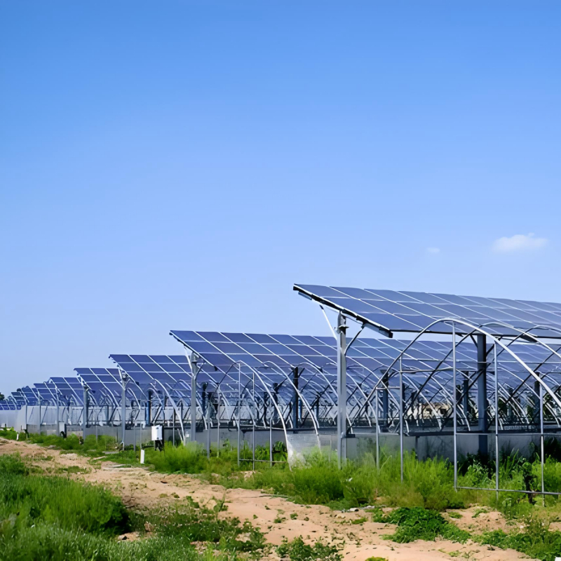 Des supports solaires de montage au sol rentables, construits pour des projets de grande envergure et fiables à long terme