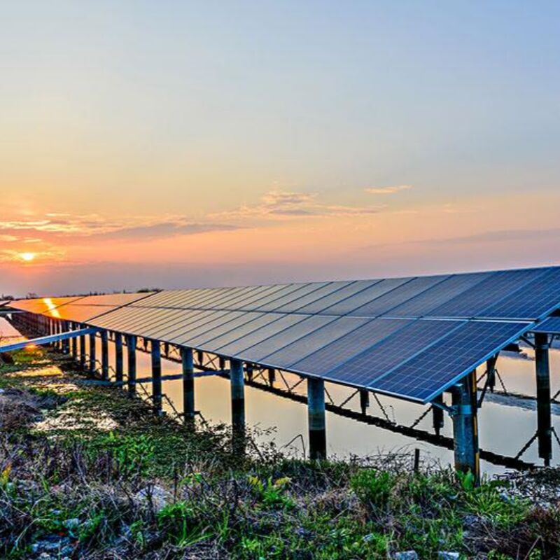 Cadre de montage solaire photovoltaïque au sol - Ancrage en pile profonde, résistant au vent et aux secousses, fermement enraciné dans le sol