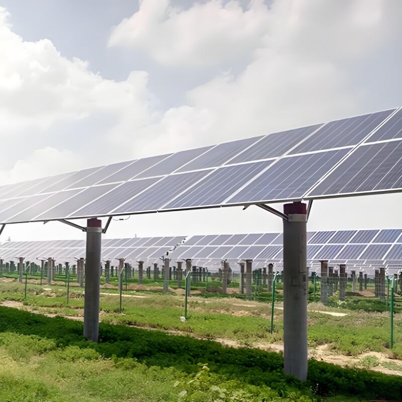 Des supports de montage solaire au sol polyvalents avec vis dans le système de fondation adapté à la plupart des types et conditions de sol