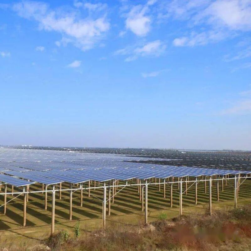 Supports de montage solaires au sol offrant une forte résistance au vent et à la neige grâce à une conception unique des pieux et des composants pré-assemblés