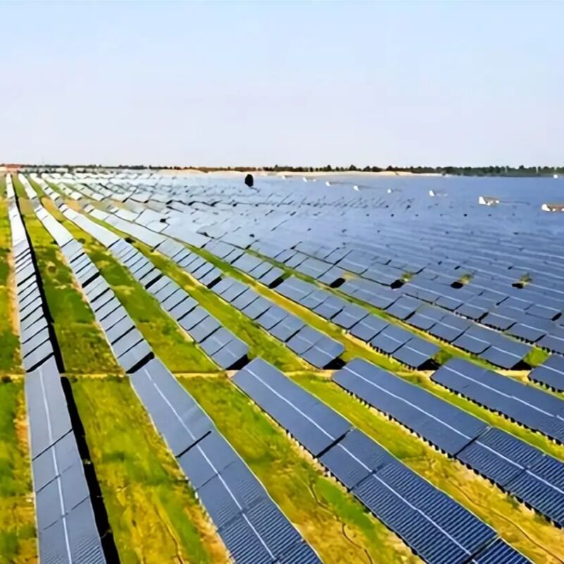 Partenons de montage solaire au sol construits à partir de matériaux résistants à la corrosion pour le montage de panneaux solaires sur les exploitations